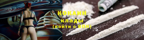 МДПВ Карпинск