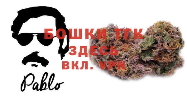МДПВ Карпинск