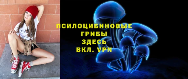 МДПВ Карпинск