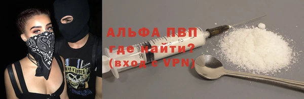 PSILOCYBIN Карталы