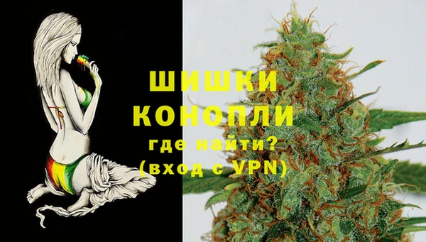 PSILOCYBIN Карталы
