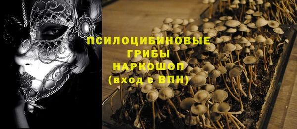 МДПВ Карпинск