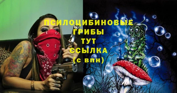 МДПВ Карпинск
