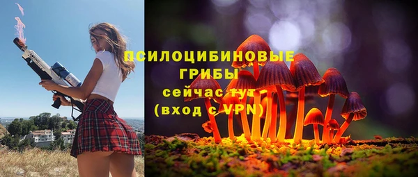МДПВ Карпинск