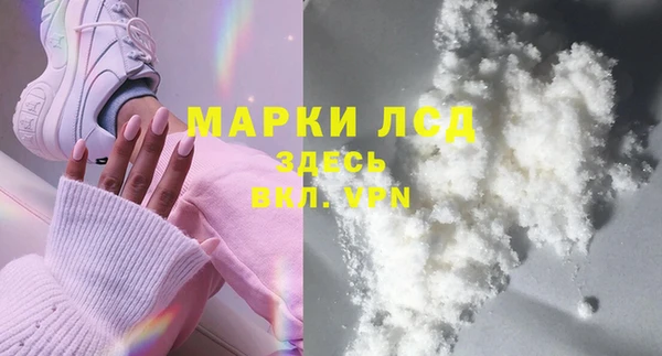 PSILOCYBIN Карталы