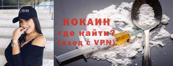 PSILOCYBIN Карталы