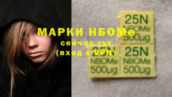 МДПВ Карпинск