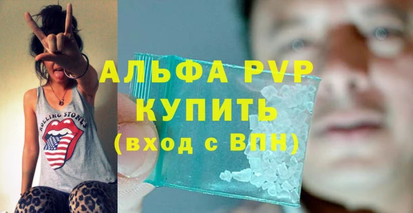 PSILOCYBIN Карталы